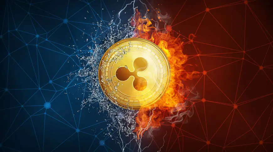 Ripple Clashes with SEC over Financial Disclosure