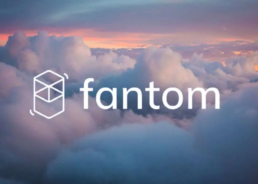 Fantom: Technology Innovation Challenging PayPal