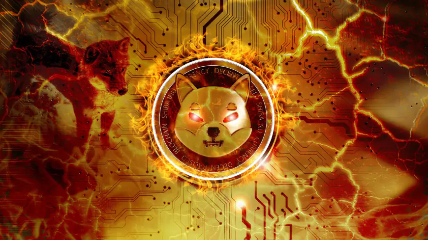 Shiba Inu Gears Up: 600% Surge in Token Burn Rate Sparks Frenzy