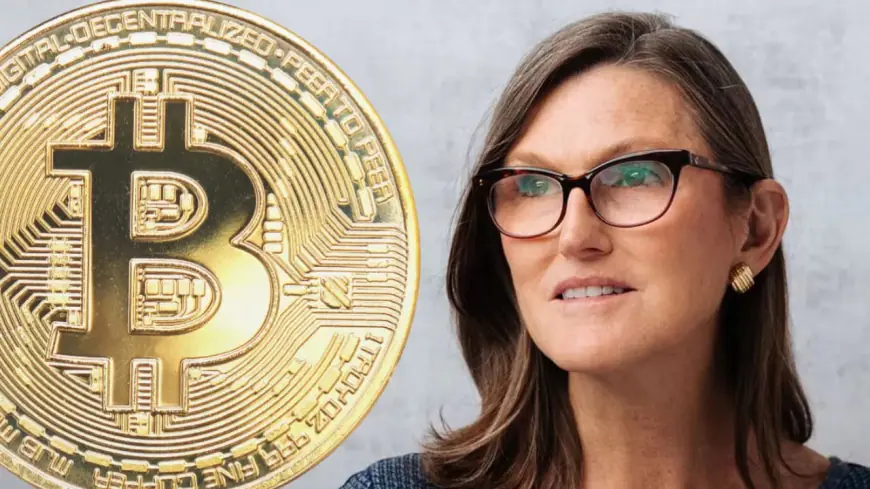 ARK Invest’s Cathie Wood: Bitcoin Substituting Gold as Store of Value