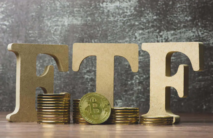 Bitcoin ETFs (Ex-GBTC) Surpass MicroStrategy in BTC Holdings: 192,255 BTC and Counting