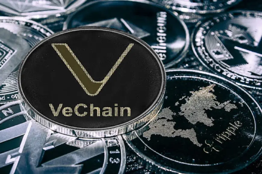 VeChain (VET) Prepares for Price Breakout; Shiba Inu (SHIB) and NuggetRush (NUGX) Set for Major Big Launches