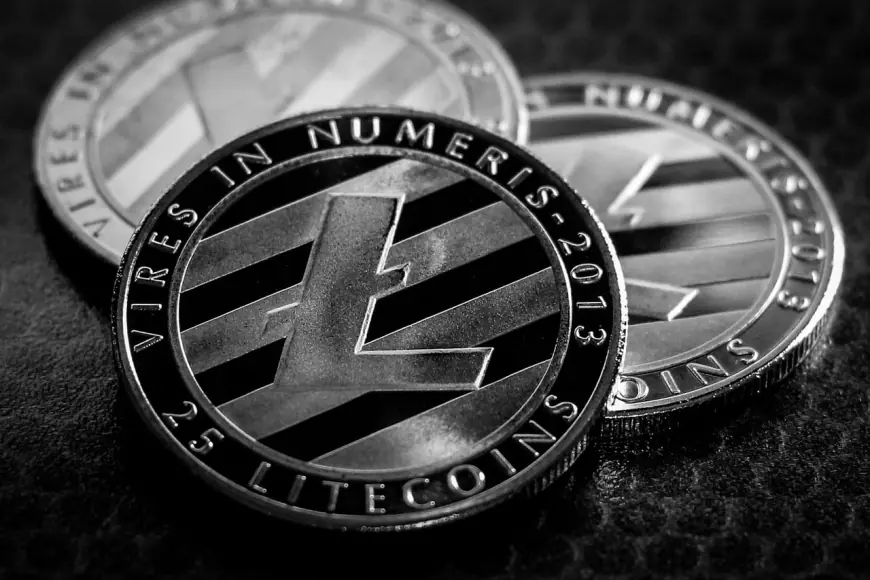 Litecoin Languishes: Frustration Mounts as LTC Price Stalls – What’s Next?