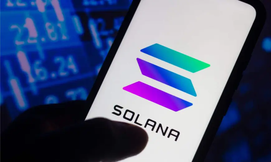 Solana’s High Transaction Fees: Threat or Triumph for Network Activity?