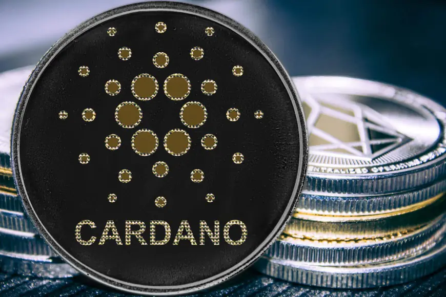 Cardano Eyes Brave Integration: Can They Outshine Solana for User Adoption?