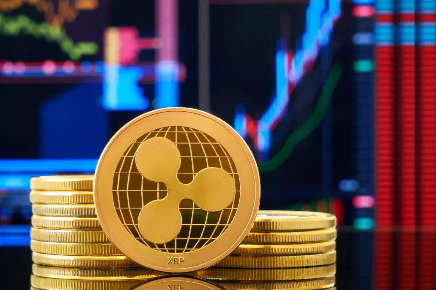 Ripple CEO: Genuine Utility Key to Cementing ‘Crypto is Back’ Narrative – XRP Key to Driving Real-World Adoption