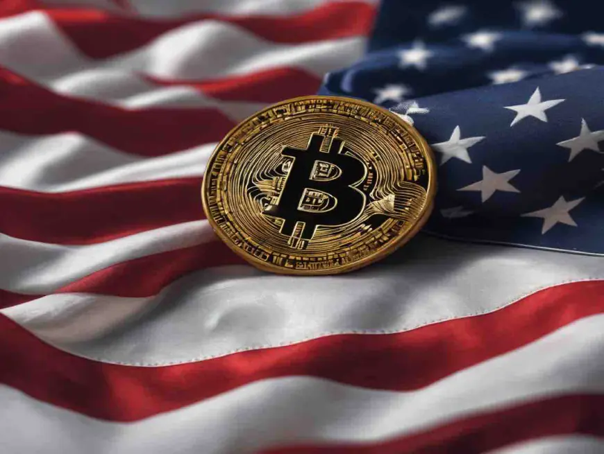 Donald Trump becomes the preferred candidate among crypto holders