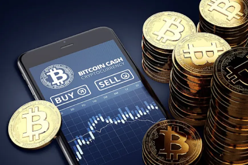 ORDI and Bitcoin Cash Have Capitalized On Bitcoin for Gains This Year – Can Borroe Finance Bank on BTC Pump for a Rally?