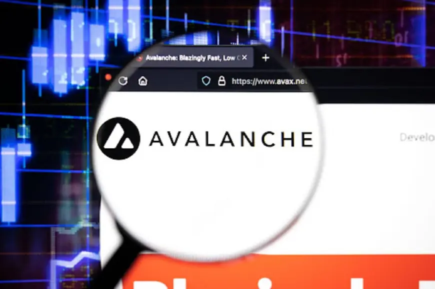 Broad Expansion Sees Avalanche and NuggetRush Outperform Ethereum Despite Dencun Upgrade