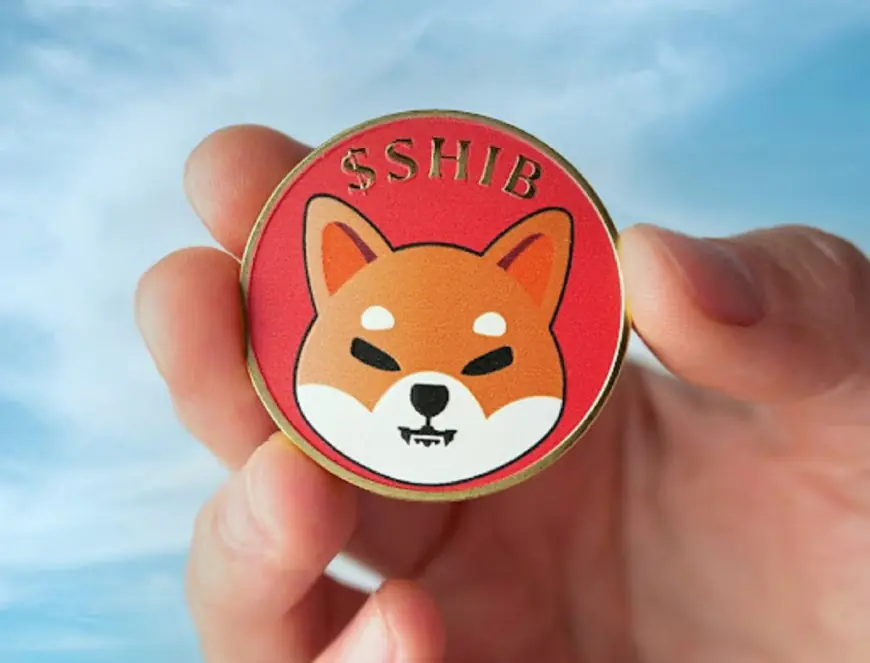 Shiba Inu Lead Dev Unveils Exciting Update on Shiba Eternity Project