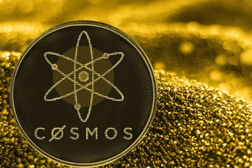 Cosmos And SUI Investors Migrate To NuggetRush Presale, Where Experts Predict Massive Price Surge