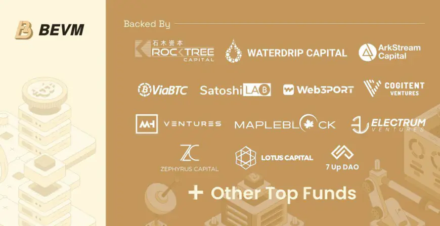 BEVM Bitcoin Layer2 Closes Seed Round with RockTree Capital, Sathoshi Lab & 20 Others