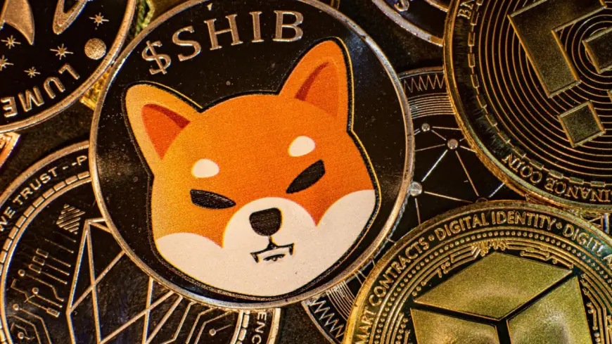 Ethereum Co-founder Vitalik Buterin’s Praises Shiba Inu: Comments Boost SHIB 8%