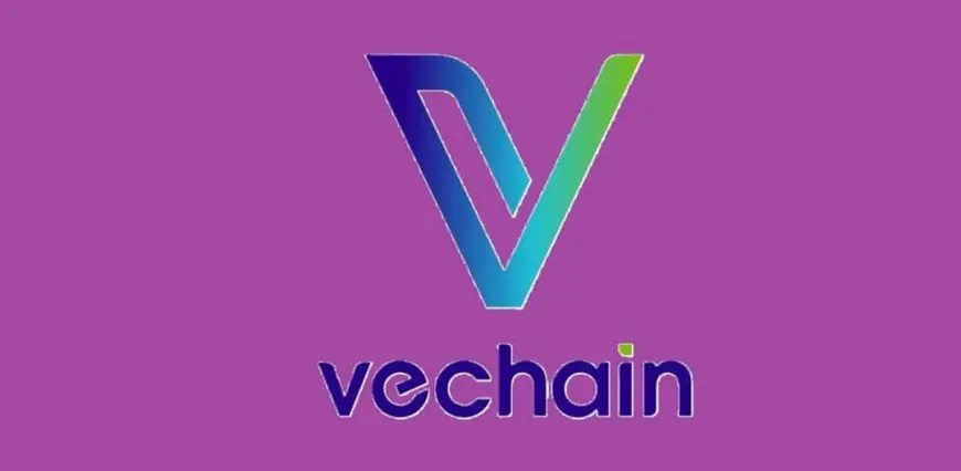 VeChain and Tangem Join Forces for Hardware Wallet Innovation