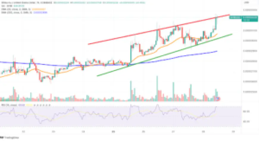 SHIB Chart Analysis: Signs Point to Upcoming Bullish Rally for Shiba Inu