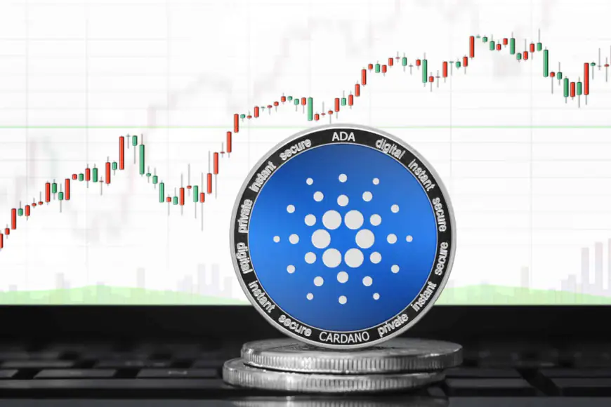 Cardano’s Sustainability Strategy: Founder Charles Hoskinson Outlines Three Key Catalysts for ADA