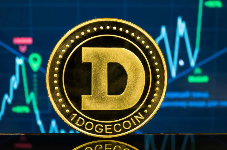 Warning Signs for Dogecoin (DOGE): Potential 40% Decline Looms