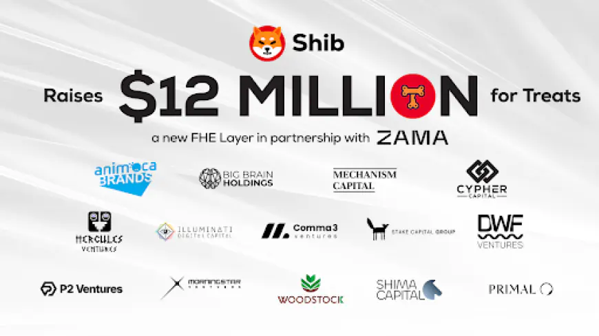 Shiba Inu’s FHE Blockchain Gains $12 Million Boost in Venture Capital Round