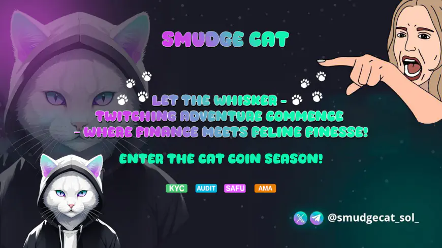 Smudge Cat: The Next 1000x Solana Token!