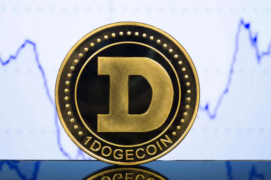 Dogecoin’s Decline Continues: Will Recent Moves Signal a Turnaround?