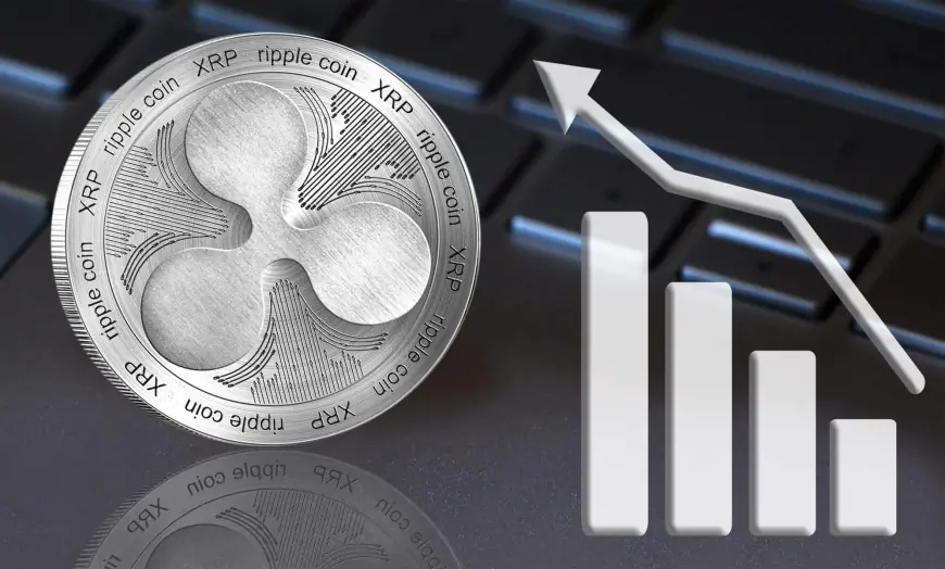 Ripple Fires Back at SEC in XRP Case to Secure Victory: Is a Significant Price Pump to $1 on the Horizon?