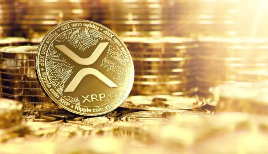 Ripple’s XRP Bounces Back: Whale Movements and Market Reactions