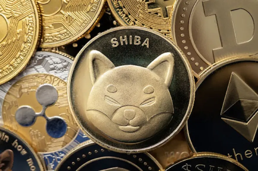 This Shiba Inu (SHIB) Rival Might Be the Next Meme Coin to Explode – Here’s Why