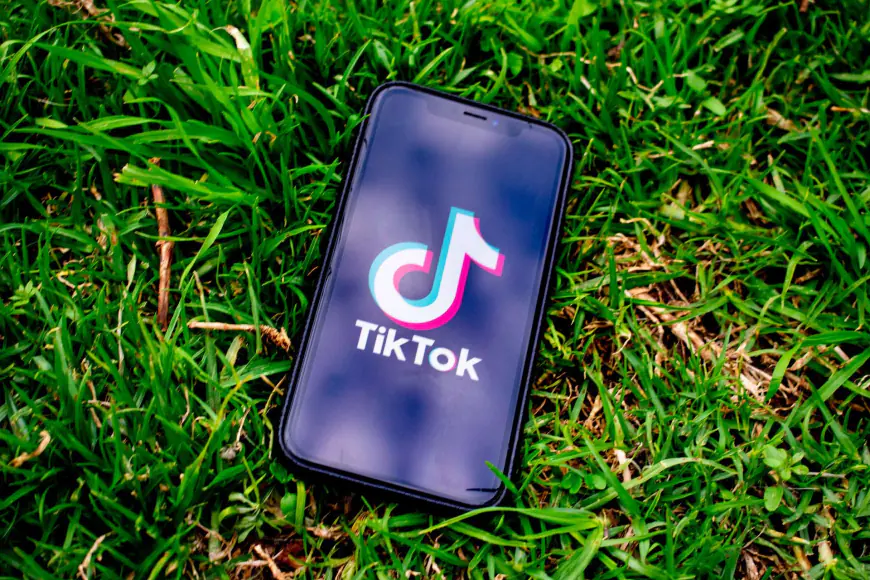 US TikTok Buyer Eyes Decentralization, Polkadot Integration for Data Protection