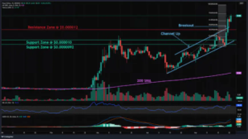 Top Ethereum Meme Coins to Watch Following $ETH ETF Approvals: PEPE and Galaxy Fox ($GFOX)