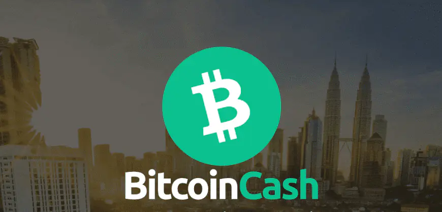 Bitcoin Cash (BCH) Rises Bullishly with Strong On-Chain Data Support