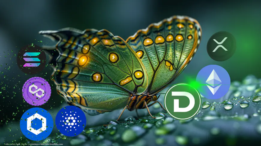 PEPE And BONK Show Strong Gains While DTX Emerges As A Promising Presale Opportunity