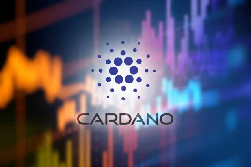 Cardano’s DEX Hits Record 23 Million ADA Daily Volume Amidst Price Challenges