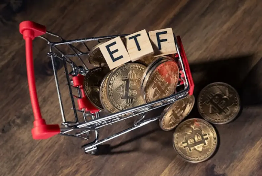 Bitcoin ETFs Propel BlackRock and Fidelity to Top ETF Inflows in 2024