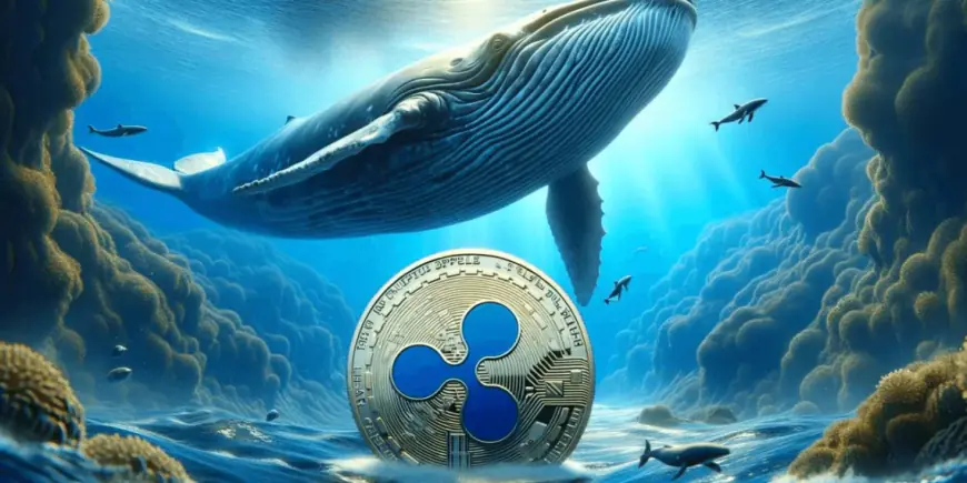 Major XRP Whale Activity: $28 Million Withdrawn from Binance: Will XRP Price Explode to $1? 