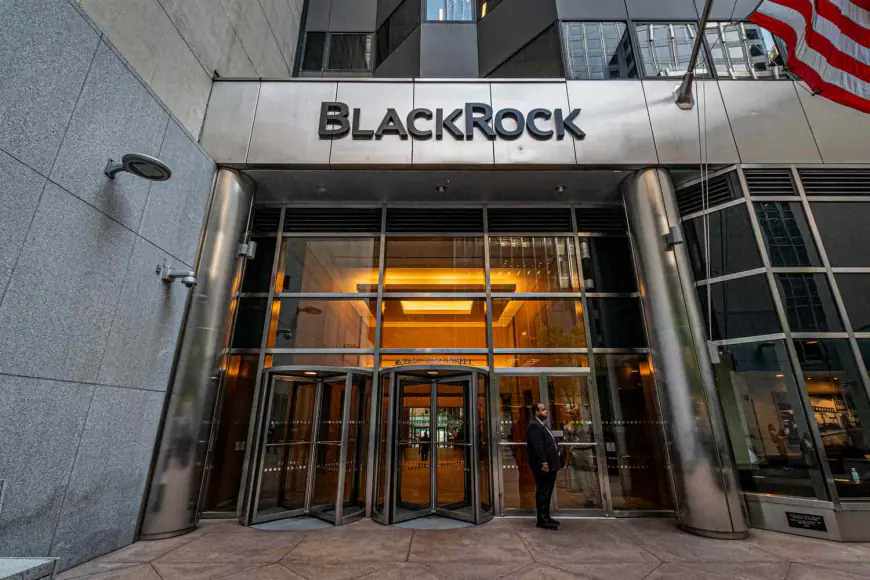 BlackRock, Grayscale named top Bitcoin-holding companies in the world