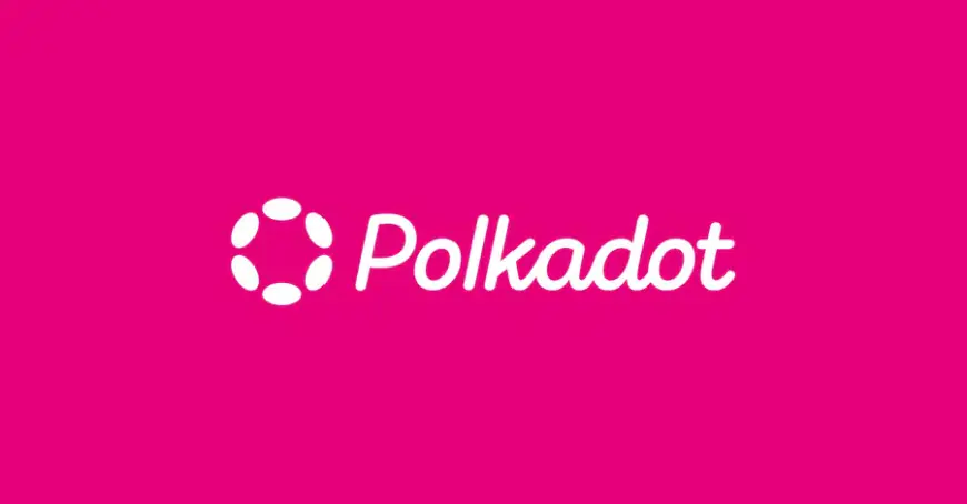 Polkadot Community Thrives with Active Governance and Forum Growth