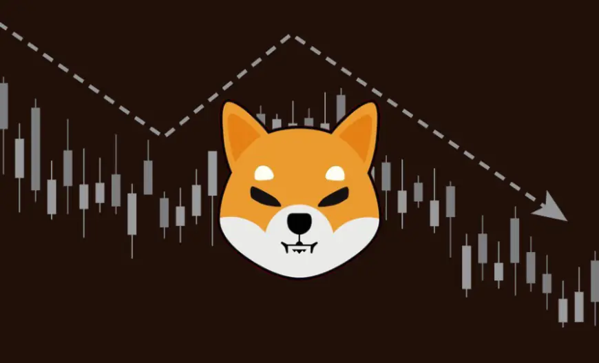 Shiba Inu whale unloads $18M on Binance; Is the meme coin rally over?