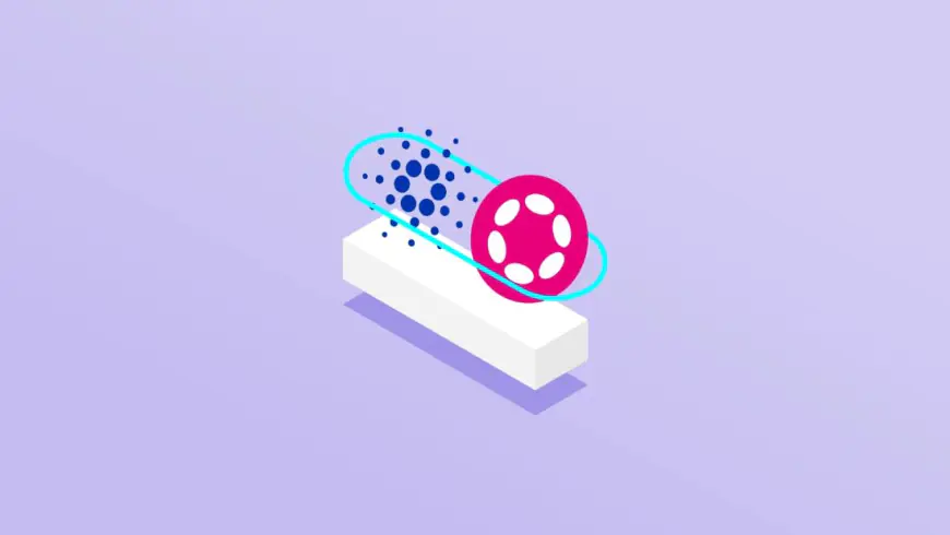 Cardano and Polkadot to Potentially Link via New Bridge