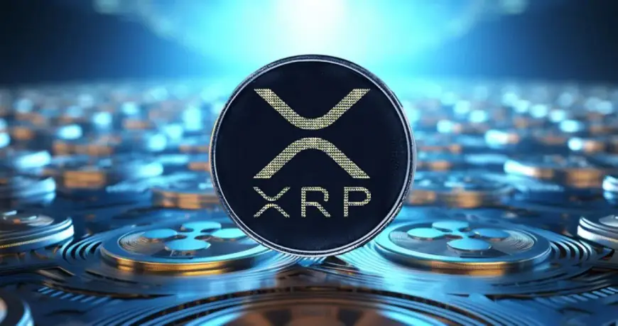Bill Morgan Buys More XRP Amid Market Dip and Uncertainty