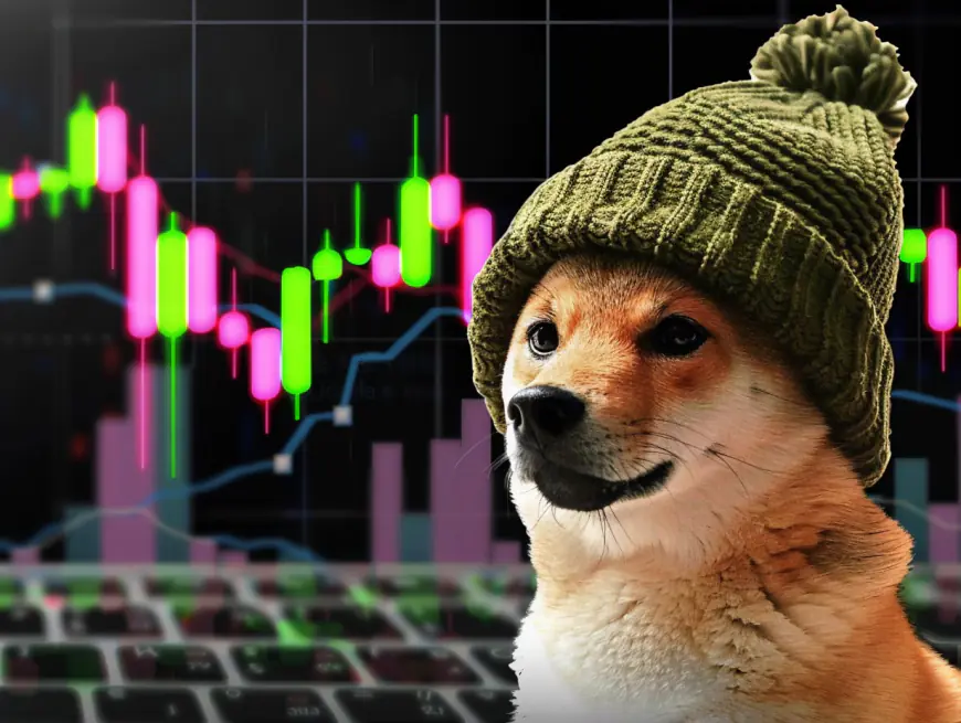 Dogwifhat (WIF) price surges 28% in 24 hours