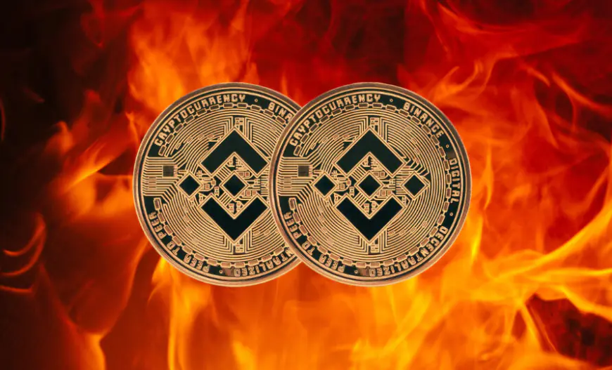 $971 million worth of BNB burned, will BNB price take off?