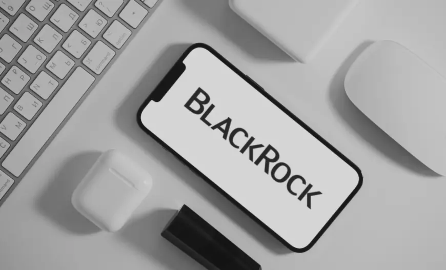 No BlackRock Solana ETF plans in the near future, executives confirm