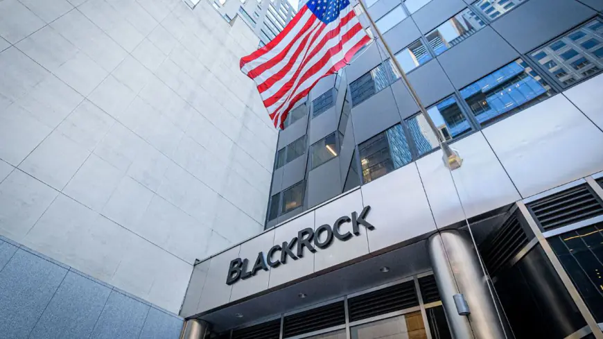 BlackRock: Bitcoin and Ethereum ETFs Likely to Join Model Portfolios by End of 2024