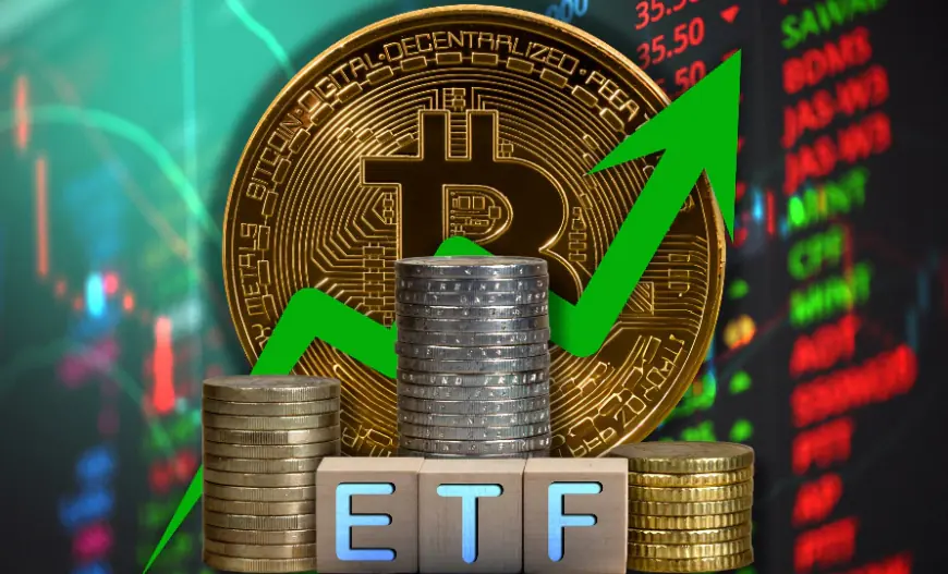 Are Bitcoin ETFs on track to surpass Satoshi Nakamoto as the largest BTC holder?