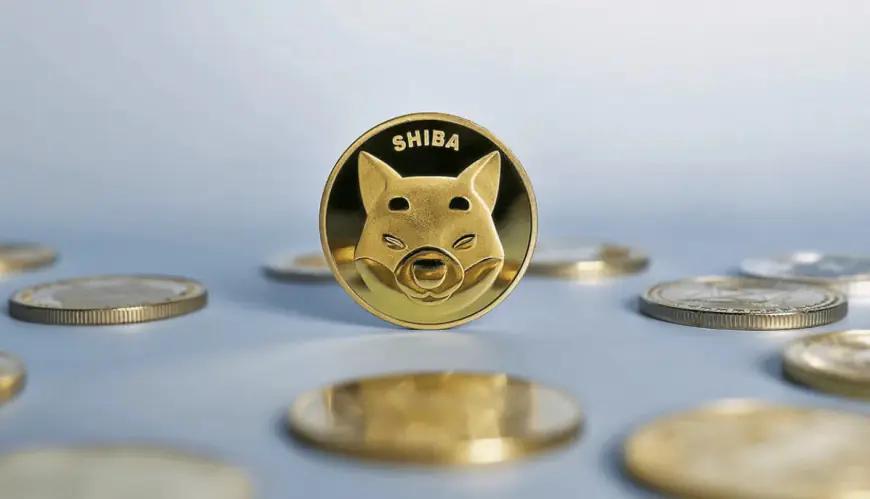 Lead Developer Shytoshi Kusama Teases Shiba Inu’s ‘Moon Mission’: SHIB to Soar?