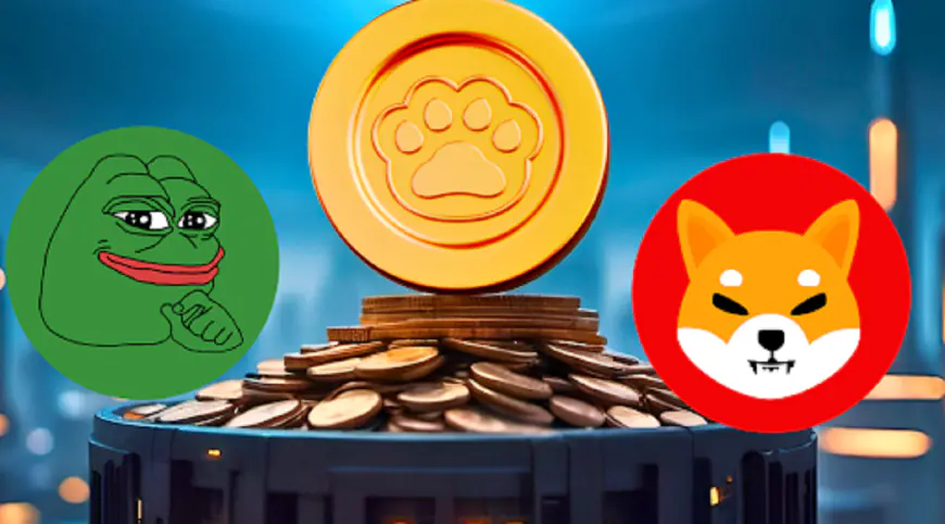 Pawfury, Shiba Inu, and Pepe Coin: Which Meme Coin Is Poised to Take the Lead?