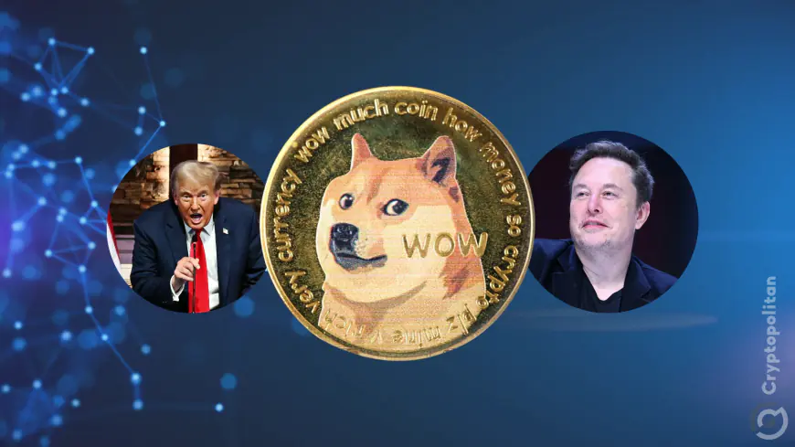 Dogecoin price now linked to Trump’s 2024 US election faith