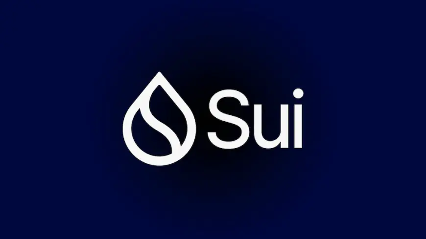 Sui Network Outpaces Major Blockchains with 2.14 Billion Transactions in 2024