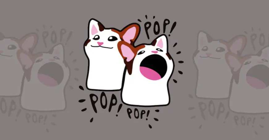 POPCAT Soars as Binance Launches New Perpetual Contracts