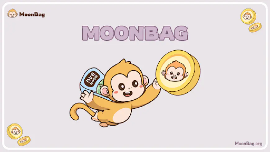 From PlayDoge’s $6 Million Milestone to Bonk’s Outlook and MoonBag’s Impressive ROI: Exploring the Top Crypto Presale Happening Now